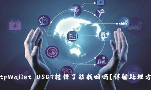 : tpWallet USDT转错了能找回吗？详解处理方法