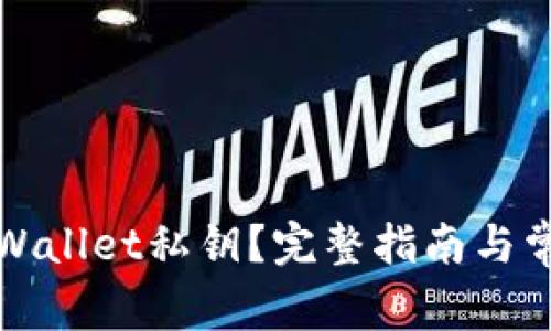 如何查看tpWallet私钥？完整指南与常见问题解答