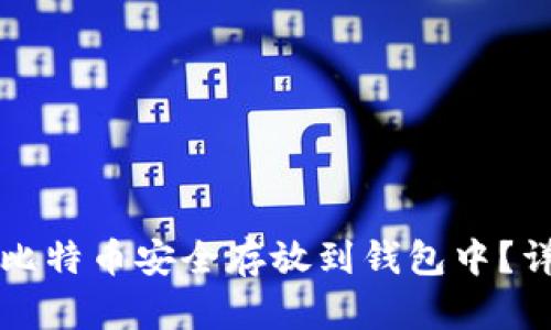 如何将比特币安全存放到钱包中？详细指南