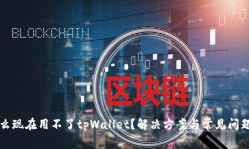 为什么现在用不了tpWallet？解决方案与常见问题详解