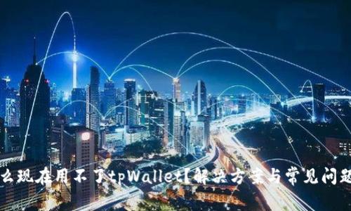 为什么现在用不了tpWallet？解决方案与常见问题详解