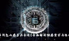 比特币钱包内存多大合适？全面解析储存需求与