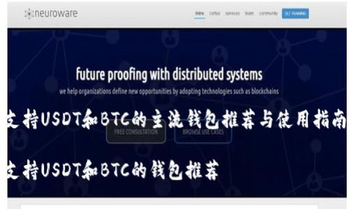 支持USDT和BTC的主流钱包推荐与使用指南

支持USDT和BTC的钱包推荐